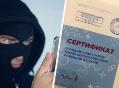 Нелегальный рынок «виртуальных прививок» от CoVID-19 процветает на Ставрополье