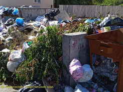 Глава Предгорного округа Ставрополья высказался о местных «грязнулях»