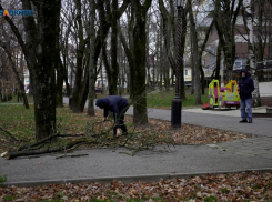 Пятерка самых дефицитных профессий названа на Ставрополье