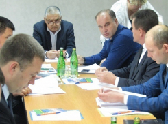 На Ставрополье снова будут выращивать хлопок в промышленных масштабах