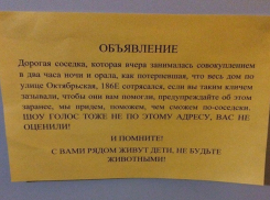 Шумное ночное «совокупление» парочки вызвало гнев соседей в Ставрополе 