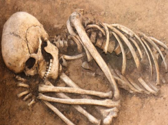 Человеческие кости раскопали жители частного дома в Ставрополе