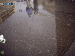 В Международный женский день жителей Ставрополья ждет жара до +18