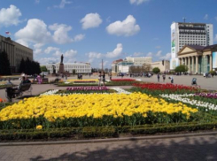Сильный ветер ожидается на День города Ставрополя