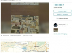 Призрака Васю за миллион рублей продает житель Ставрополья