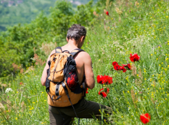 Борьба ставропольских экологов за Бештаугорский заказник продолжается