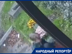Неизвестные подростки оборвали клумбу в Пятигорске и попали на видео