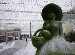 В очередной раз продлили штормовое предупреждение из-за заморозков на Ставрополье