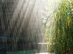 ЧП из-за ливня и ветра возможны на Ставрополье