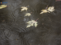 Дожди с грозой и прохлада придут на Ставрополье в начале рабочей недели