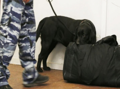 Две подозрительные сумки нашли в Ставрополе