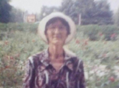 Женщина в малиновом пуховике вышла из дома и пропала на Ставрополье 