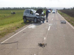 Обгон нарушителем на «Приоре» закончился гибелью водителя «Нивы»﻿ на трассе Ставрополья