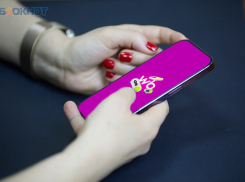 Сделано на Ставрополье: на Wildberries появился раздел для патриотов «родины слонов»