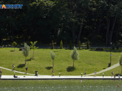 Жаркое воскресенье с температурой до +22 градусов обещают синоптики на Ставрополье