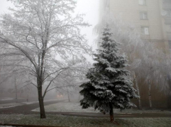 На Ставрополье придут заморозки 