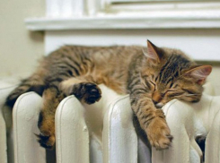 «Да прибудет тепло»: 15 октября стартовал отопительный сезон в Ставрополе 