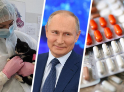 Коронавирус на Ставрополье 17 декабря: «Где деньги?», карантина не будет, кошки борются с CoVID-19 успешнее людей