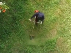  Тарахтящие газонокосилки по утрам мешают ставропольцам полноценно отдохнуть