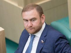 Империя наносит ответный удар: Арашуков напишет письмо президенту России