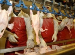 На удушающий запах от птицекомбината пожаловались жители Невинномысска