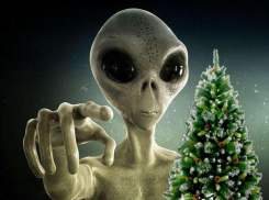  Жители Ставрополя заподозрили пришельцев в захвате главной городской елки