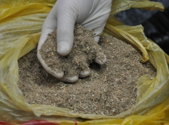 У жителя Ставрополья изъяли маковую соломку в крупном размере