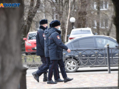 Хозяина напавшей собаки на мужчину в Ставрополе ищет полиция