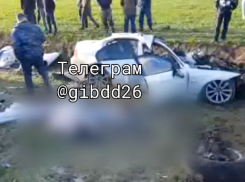 Пострадавшая в смертельной аварии на Ставрополье 4-летняя девочка пришла в себя