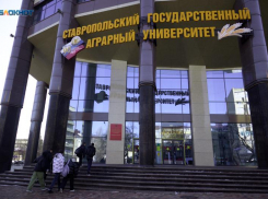 Сорванные уроки и пары: кто 21 и 22 февраля будет отдыхать на Ставрополье