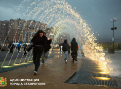 Уборщика площади Святого князя Владимира за 13 миллионов рублей ищет администрация Ставрополя