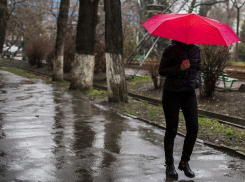 Холодное и дождливое воскресенье ждет ставропольчан 25 марта