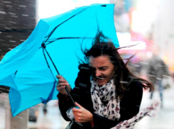 В среду ставропольчан вновь ожидают дожди и ветер