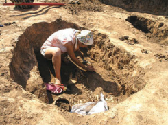 Суд Ставрополя запретил расторжение договора с археологами на 82 млн