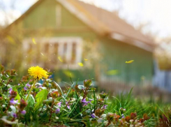 «Можно написать детектив»: конфликт в ставропольском СТ «Кравцово» обрастает подробностями