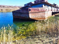После уголовного дела Чограйское водохранилище на Ставрополье очистили 