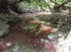 Кровавые воды: по руслу реки Грушевой в Ставрополе потекла красная жидкость неизвестного происхождения