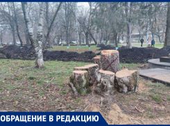 Спил деревьев в сквере Ставрополя у лицея №8 возмутил горожан