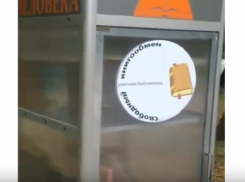 Житель Невинномысска установил в парке книжный шкаф для буккроссинга