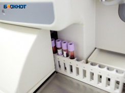 В школах и детских садах Ставрополья отменили карантин из-за одного заболевшего CoVID-19