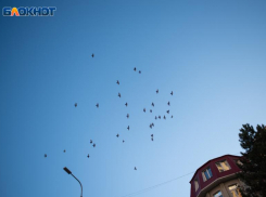 Аномальная жара до +40 градусов снова испытает жителей Ставропольского края 