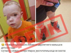 Фейк об избиении ребенка в детсаду опровергли на Ставрополье 