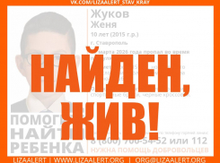 Исчезнувшего во время прогулки 10-летнего мальчика объявили в розыск в Ставрополе