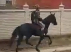 Странный казак мчался на лошади по людному тротуару в Пятигорске