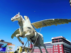 Пегас на площади вызвал бурное обсуждение жителей Ставрополя 