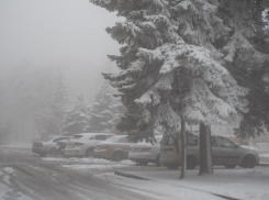 Первый снег с ветром предсказали в Ставрополе уже в следующий понедельник