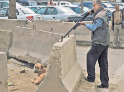 Подозреваемого в массовом отстреле собак догхантера проверит полиция в Ставропольском крае
