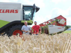 «Что мы будем делать с урожаем?», — ставропольские фермеры опасаются, что не заработают на зерне