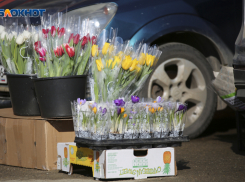 В 1,2 раза подорожали монобукеты в Ставрополе в преддверии Международного женского дня