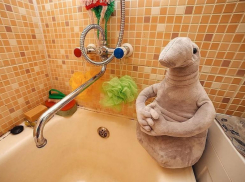 В Промышленном районе Ставрополя 25 ноября отключат воду